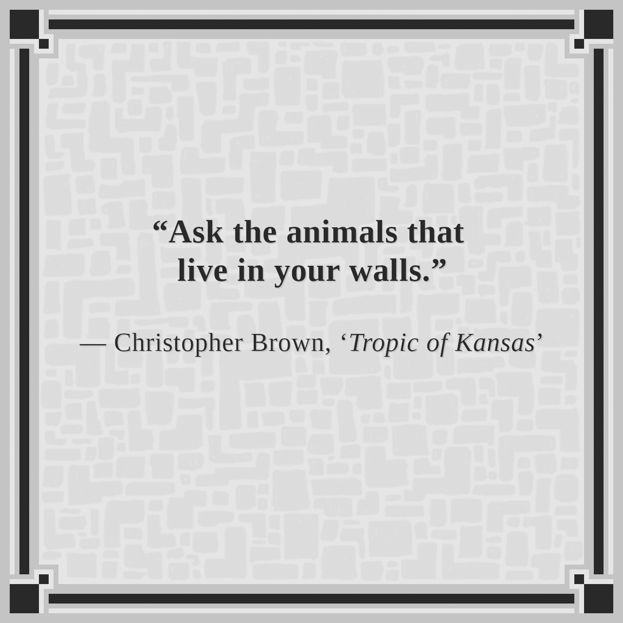“Ask the animals that live in your walls.”

— Christopher Brown, ‘Tropic of Kansas’